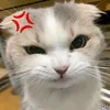 avsmiles_