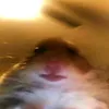 flayweruk2