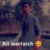 ali.warraich.8212l