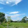 yusupmaulana7139