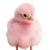 _pintonisauro_