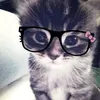 mo0x_lun4rx0.1