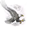 eagle_8985