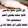 user8542460829552