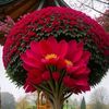 md.mahadi5208