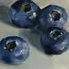 cocona3100