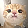 buon_chan_vai