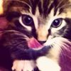 qkissesn
