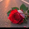 user9412152977144s