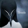 .adom1e
