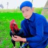 user310383643