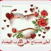 mohamed.mustafa8605