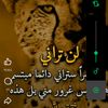 user28610862461513