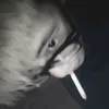 ###