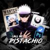 pistoo13