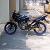 tigerhpk05