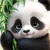 panda.review92