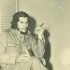 sa__r1985