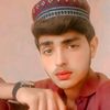 hanssainshah
