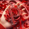 mrparvez312