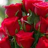 hassenmohammed372