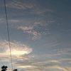 lovv_2121