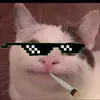 imnotvichika