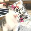 saskyasukaaca