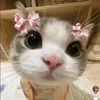 thanyarat5584