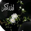 noorfatimanoor398