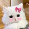 dyana_sigma2