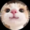 yen_nhi12341