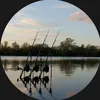 thecarpcrew