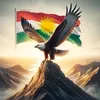 ahmed.bahman16