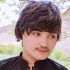 f.jan.tareen
