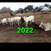 boubacar.diallo7959