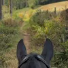 mollyxhobbs