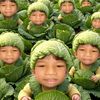 teeang14