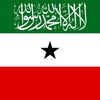qurbaawi451
