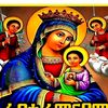 mimi.tamrat4