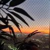nilsoncampos77