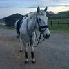 sj.greyflint