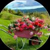 afsarkhanafsarkhan10
