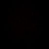 saraelsayed5496