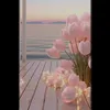 nadadada82