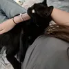 selina00130