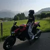 v_griz