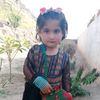 subhan.ali78591