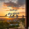 user92574783352115