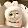 user801713793930